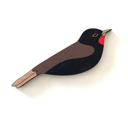 Tieke (saddleback)