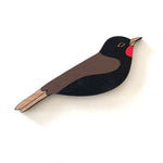 NEW! Tieke (Saddleback) Brooch