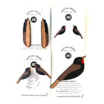 NEW! Tieke FEATHERS (NZ Saddleback) dangly