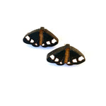 Magpie Moth Totara Earrings - studs - Julia Huyser Design